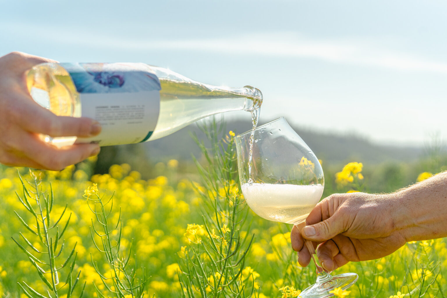 Exploring Vermentino Joseph Jewell Wines