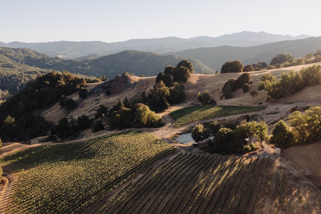 Humboldt wines Phelps vineyard