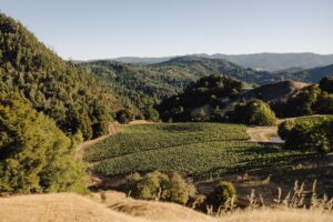 Humboldt Pinot Noir